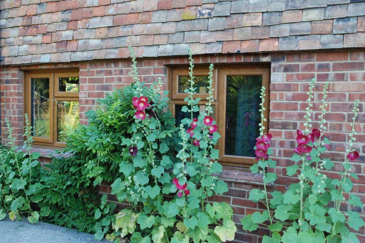 Hollyhock Cottage Ashford (Kent) Exterior foto